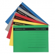 齐心 A1812 易查找吊挂夹 A4 纸质